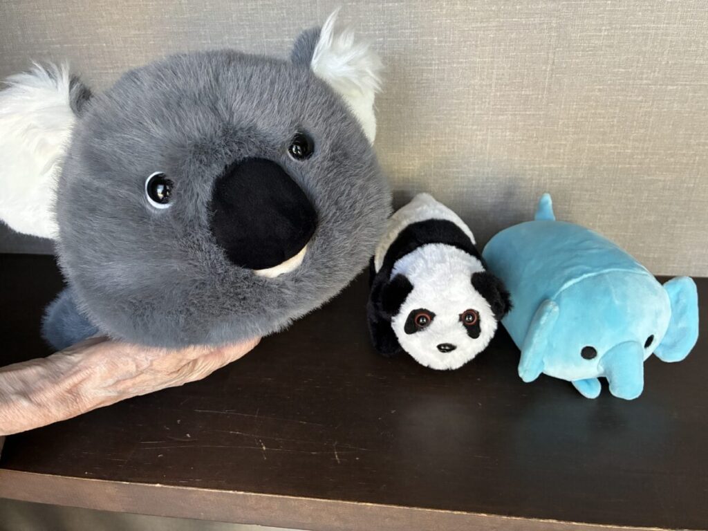 台湾の台北動物園で購入したぬいぐるみ3つ