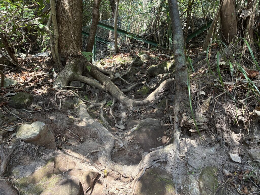 金峰山さるすべりコースの登山道の様子