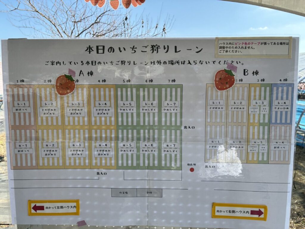 エミナース農園のいちごハウス配置図看板